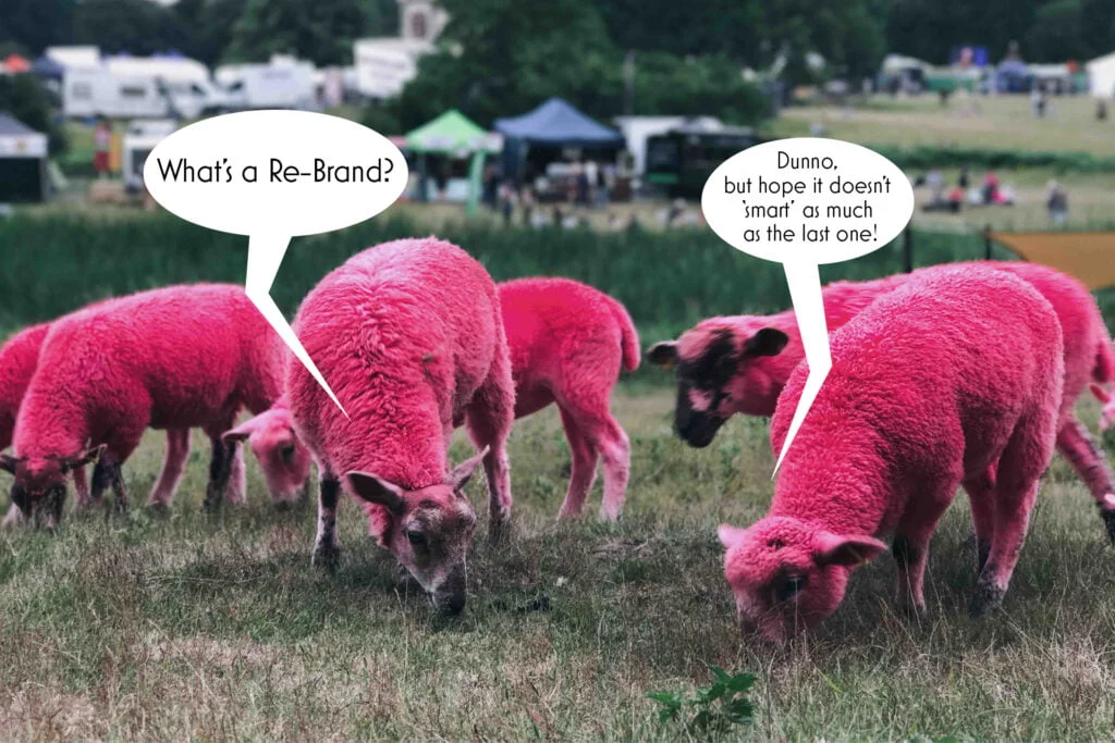 HEADER SHEEP BRAND